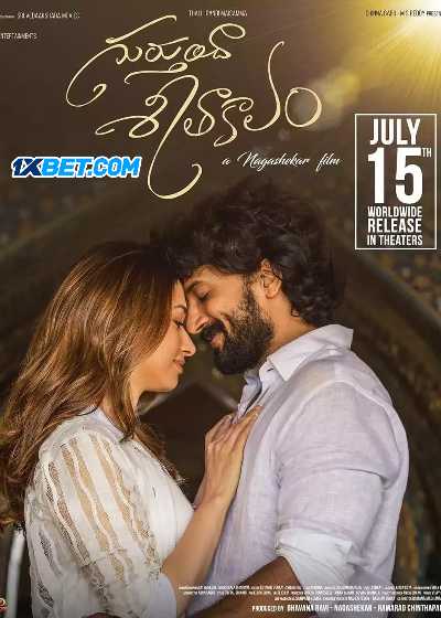 Download Gurthunda Seethakalam 2022 Hindi (HQ Dub)
